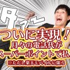 ついに実現!月々の電話代が楽天スーパーポイントで払える!ただし楽天モバイルに限る