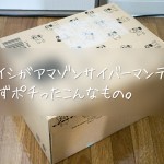 オオイシがアマゾンサイバーマンデーで思わずポチったこんなもの