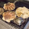 おうちBBQ、ホタテと北寄貝をイワタニ炉ばた大将で焼きまくる!