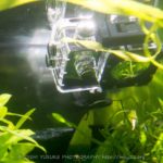 格安アクションカムMUSON MC1Aを水中で使用!色んなアングルが可能に