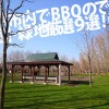 札幌でバーベキューするならココ!厳選BBQ公園・緑地9選