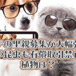 アッテの里親募集が大幅強化!魚類や昆虫も有償取引禁止に。植物は?